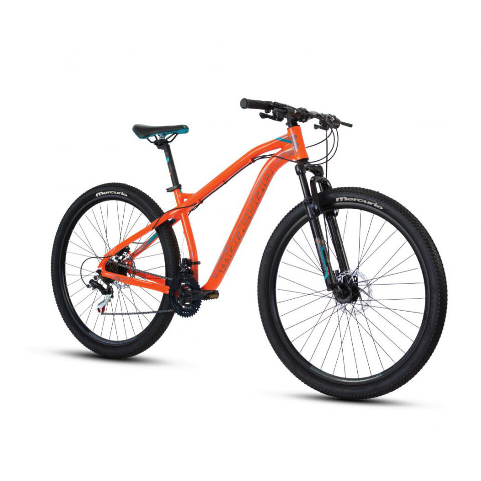 mtb ranger 29