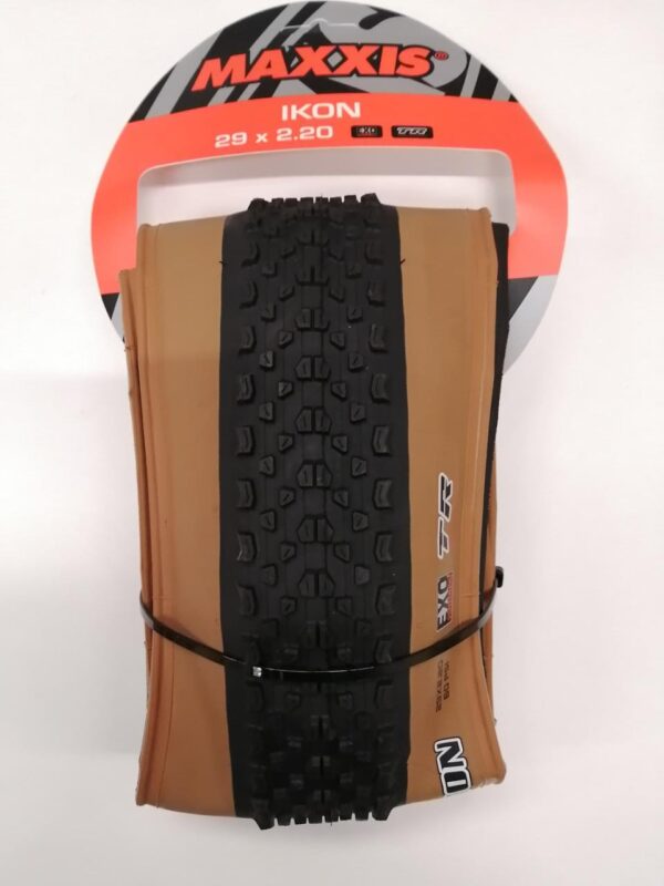 import placeholder for 4448