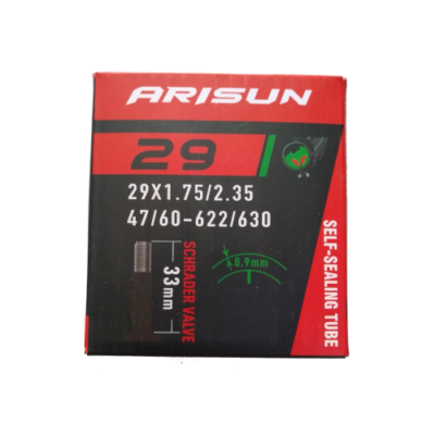 import placeholder for 3122